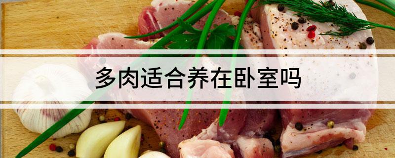 多肉花能放在臥室養(yǎng)嗎_臥室能養(yǎng)多肉放在花瓶里嗎_臥室能養(yǎng)多肉放在花盆上嗎
