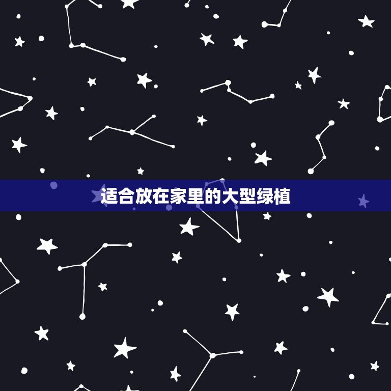 適合放在家里的大型綠植，最適合放在室內(nèi)的十五種綠植