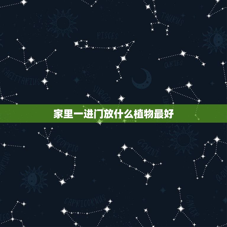家里一進(jìn)門放什么植物最好，家居風(fēng)水 一進(jìn)門擺什么植物最好