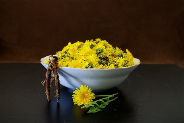 紫荊花是什么樣子的花(紫荊花是一種什么花)