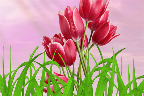 生日除了花和蛋糕還能送什么(生日除了送蛋糕還送啥)