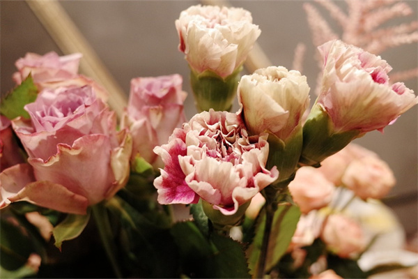 各種花及花語(各種花花語及送花對象)