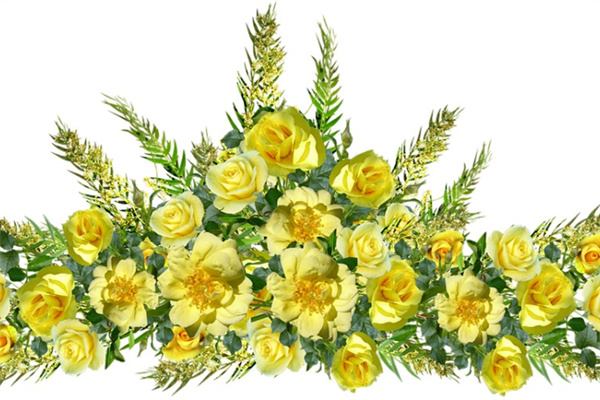 曼陀羅花不能種嗎(曼陀羅花是不是不能種家門口)