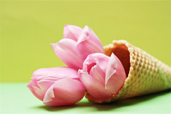 朋友生日可以送什么花(朋友生日可以送什么花)